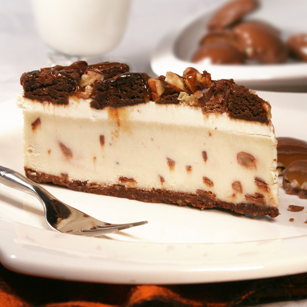 Wow Factor Turtle Cheesecake